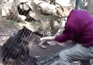 勾住了在线视频,揭秘热门视频背后的魅力与影响力