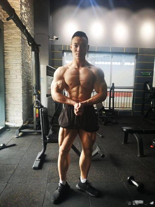 东北猛男打桩在线视频