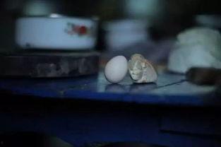 湖南妹子在线视频,展现湘妹子独特魅力与风情