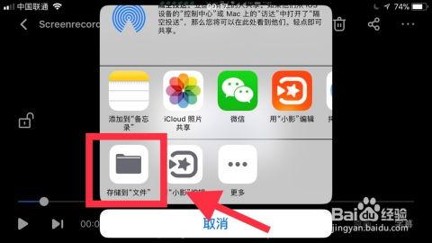 苹果 保存在线视频,便捷存储，随时观看  第2张