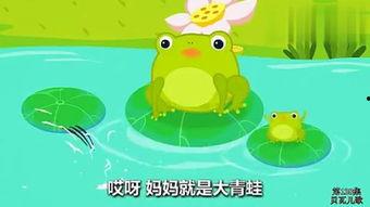 蝌蚪巢在线视频,揭秘水下生命奇观