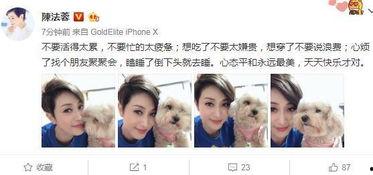 网友自拍51在线视频,揭秘网络直播背后的真实世界