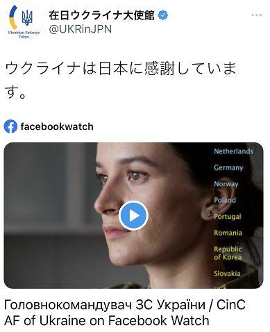 无日本在线视频  第2张