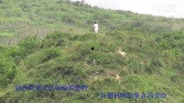 龙云风在线视频,揭秘神秘力量，探寻在线视频的奇幻之旅  第3张