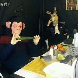 美味办公室在线视频,揭秘职场美食盛宴背后的故事  第3张