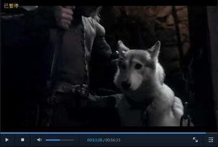 鬼畜恶魔在线视频,揭秘网络视频中的另类魅力  第3张