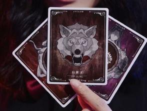 wco狼人杀在线视频,揭秘线上版“狼人杀”的激情与智慧