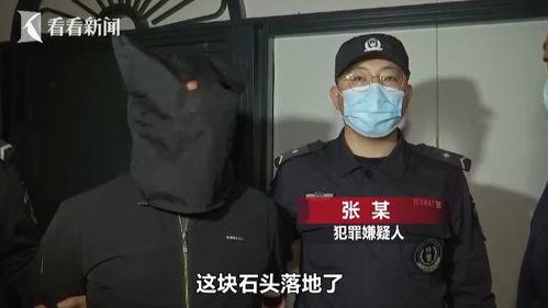 命案二十三年在线视频,尘封真相的破茧重生