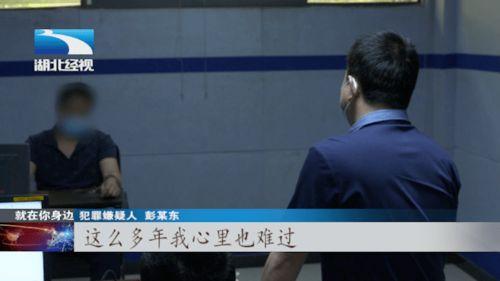 命案二十三年在线视频,尘封真相的破茧重生